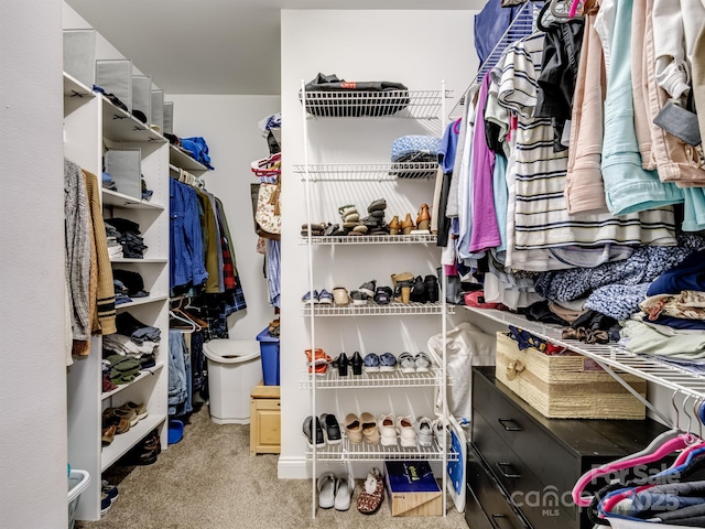 spacious closet featuring carpet floors