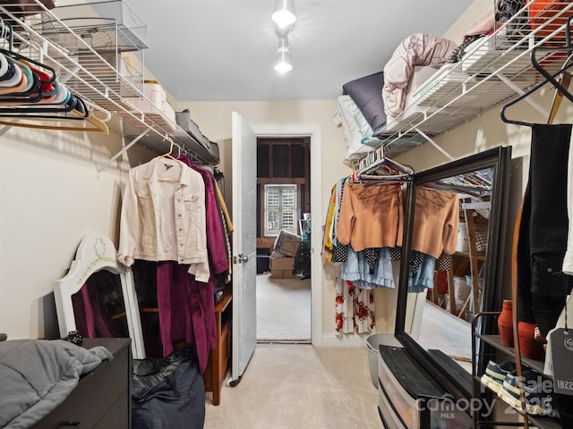 walk in closet featuring carpet flooring
