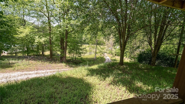 view of yard