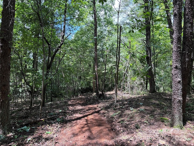 00 Old Ballpark Rd, Spindale, NC 28160 - photo 3