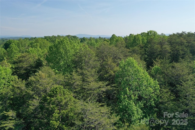 00 Old Ballpark Rd, Spindale, NC 28160 - photo 5
