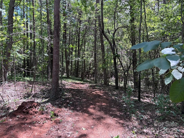 00 Old Ballpark Rd, Spindale, NC 28160 - photo 11