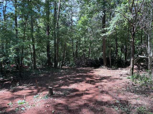 00 Old Ballpark Rd, Spindale, NC 28160 - photo 12