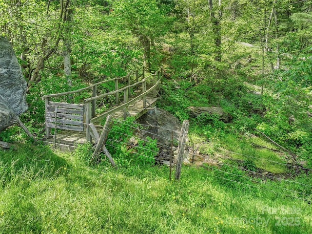 view of local wilderness