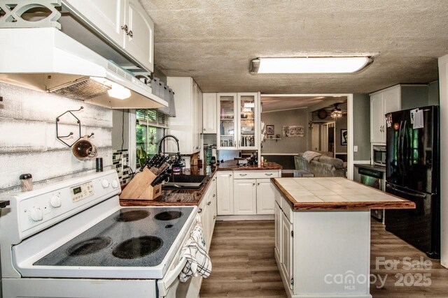 7733 Skyline Dr, Sherrills Ford, NC 28673 - kitchen with electric range, freestanding refrigerator, a sink, dark wood-style flooring, and white cabinets