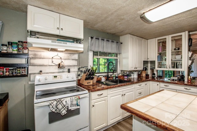 7733 Skyline Dr, Sherrills Ford, NC 28673 - kitchen featuring white electric stove, a sink, under cabinet range hood, white cabinets, and a textured ceiling