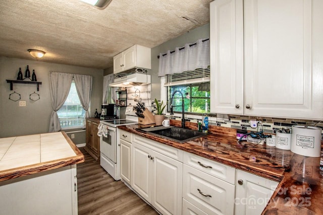 7733 Skyline Dr, Sherrills Ford, NC 28673 - kitchen featuring white electric stove, a sink, under cabinet range hood, white cabinets, and wood finished floors
