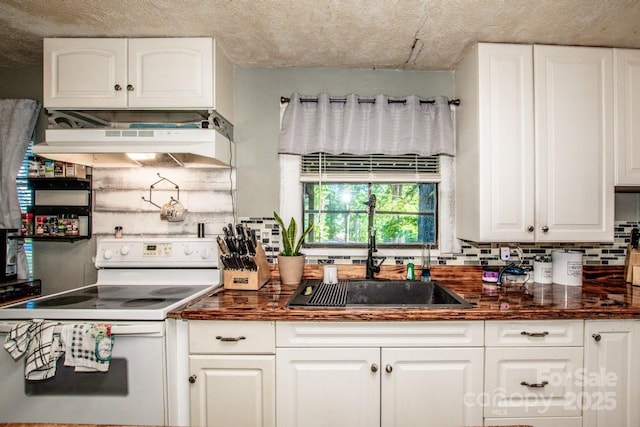7733 Skyline Dr, Sherrills Ford, NC 28673 - kitchen with white electric stove, a sink, dark countertops, tasteful backsplash, and under cabinet range hood