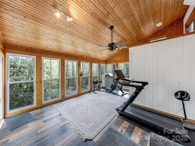 workout area with wood walls, a ceiling fan, wood finished floors, and high vaulted ceiling