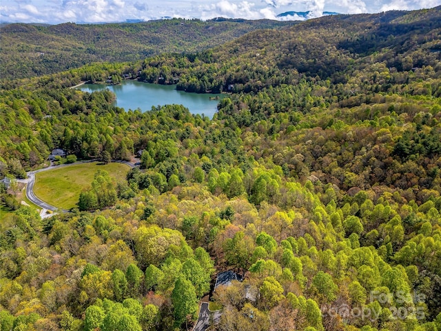 bird's eye view of a forest and a water and mountain view