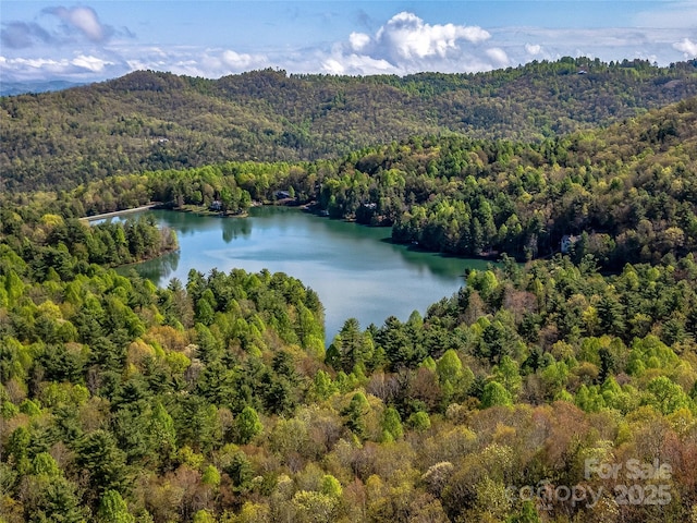 view of property location with a forest and a nearby body of water