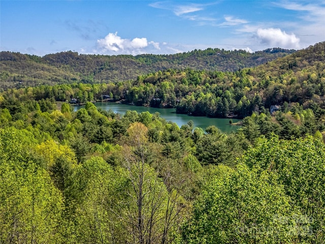 bird's eye view of a forest and a water and mountain view