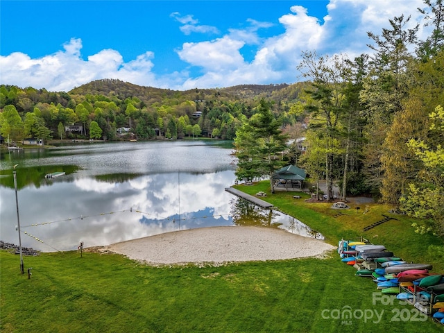 water view with a forest