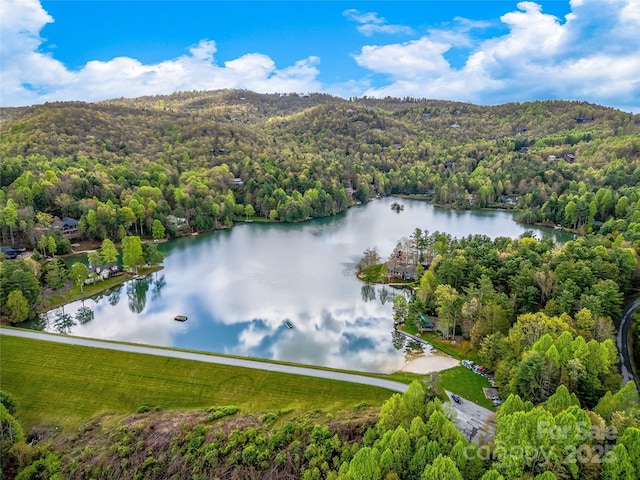 drone / aerial view of a forest and a nearby body of water