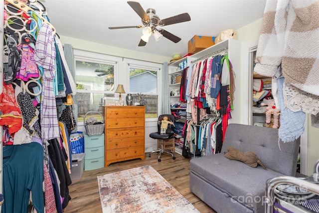 walk in closet featuring wood finished floors and ceiling fan