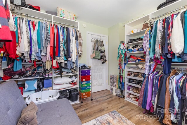 spacious closet featuring wood finished floors