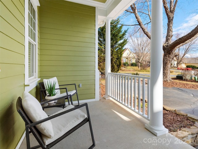 44 Chip Shot Ct, Mills River, NC 28759 - view of patio with covered porch