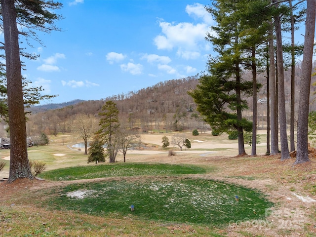 44 Chip Shot Ct, Mills River, NC 28759 - view of yard with a mountain view and view of golf course