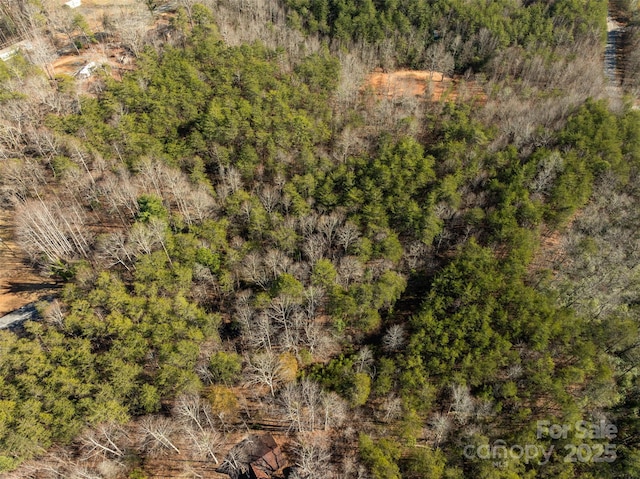 00 NC-9 Hwy, Mill Spring, NC 28756