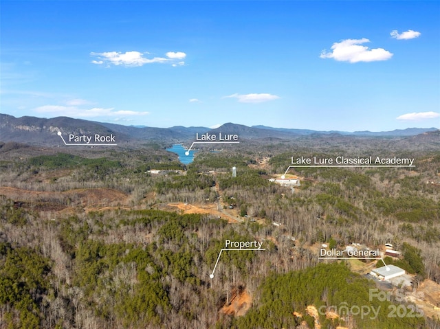 00 NC-9 Hwy, Mill Spring, NC 28756