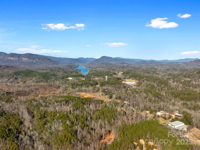 00 NC-9 Hwy, Mill Spring, NC 28756