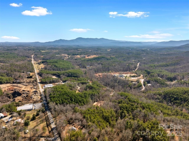 00 NC-9 Hwy, Mill Spring, NC 28756
