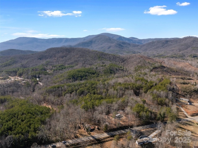 00 NC-9 Hwy, Mill Spring, NC 28756