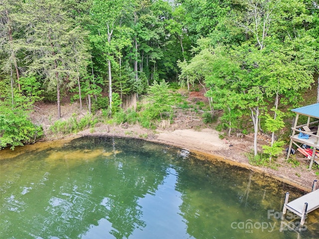 16427 Cozy Cove Rd, Charlotte, NC 28278 - water view