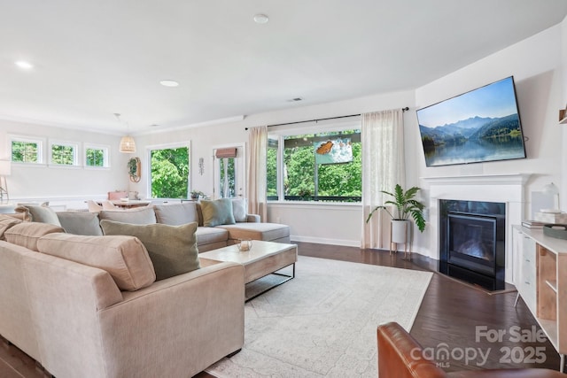 16427 Cozy Cove Rd, Charlotte, NC 28278 - living area with wood finished floors, recessed lighting, baseboards, and a glass covered fireplace