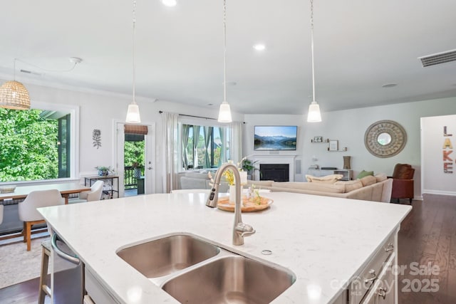 16427 Cozy Cove Rd, Charlotte, NC 28278 - kitchen featuring a sink, a fireplace, light stone counters, dark wood finished floors, and recessed lighting