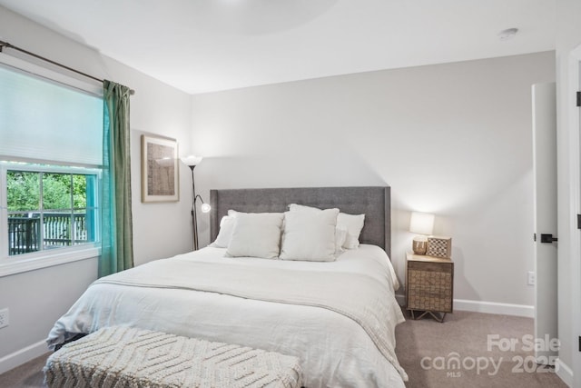 16427 Cozy Cove Rd, Charlotte, NC 28278 - carpeted bedroom featuring baseboards