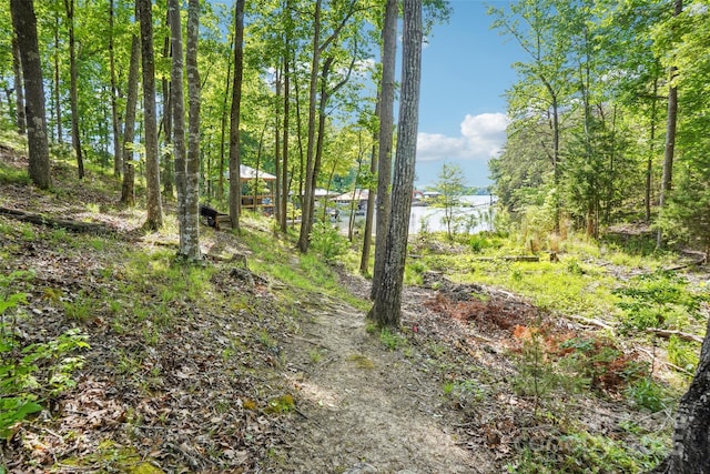 16427 Cozy Cove Rd, Charlotte, NC 28278 - view of yard