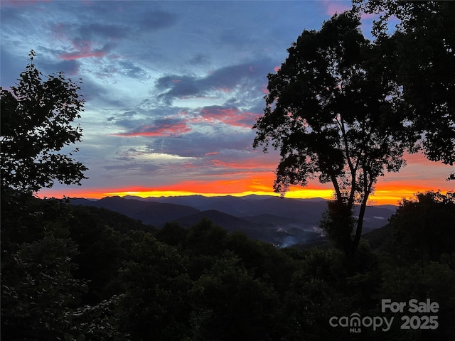 mountain view