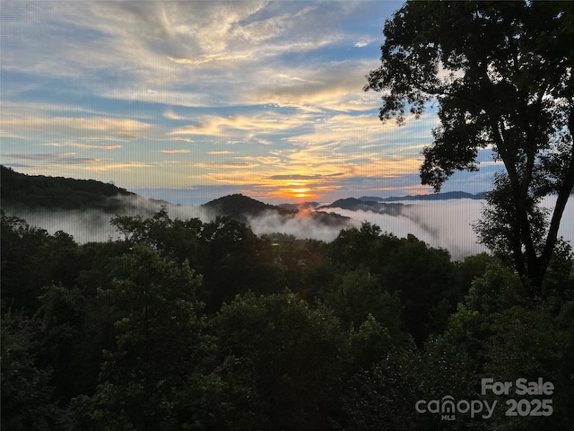 mountain view with a forest