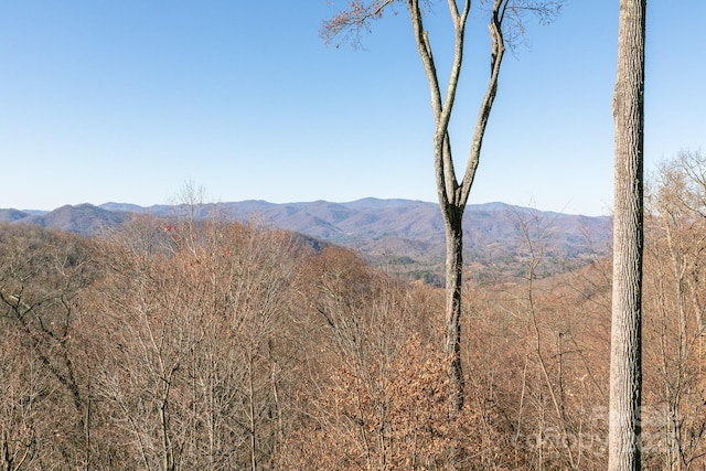 mountain view featuring a heavily wooded area