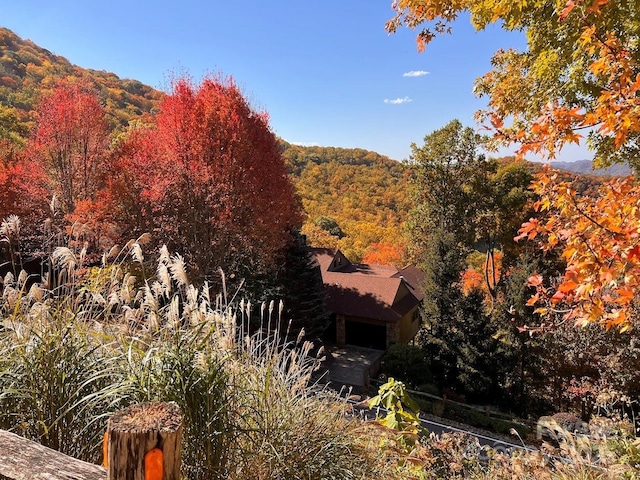 mountain view with a forest