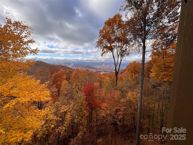 view of mountain backdrop featuring a heavily wooded area