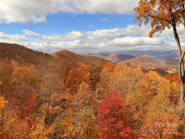 view of mountain background with a forest