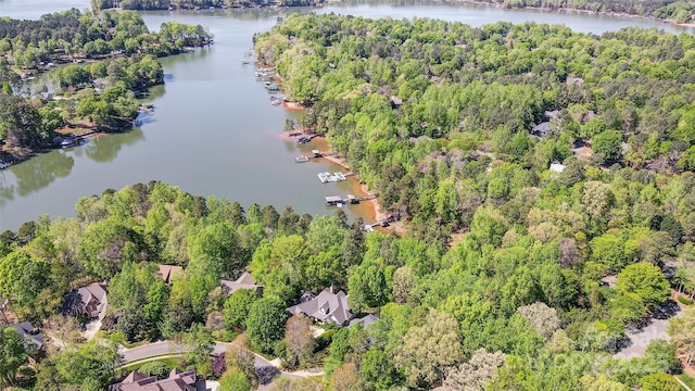 3508 Mountain Cove Dr, Charlotte, NC 28216 - photo 4