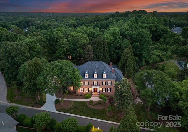 3314 Leamington Ln, Charlotte, NC 28226 - view from above of property featuring a forest