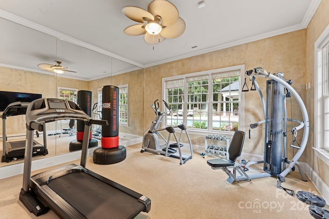 3314 Leamington Ln, Charlotte, NC 28226 - exercise area with a ceiling fan, carpet floors, and healthy amount of natural light