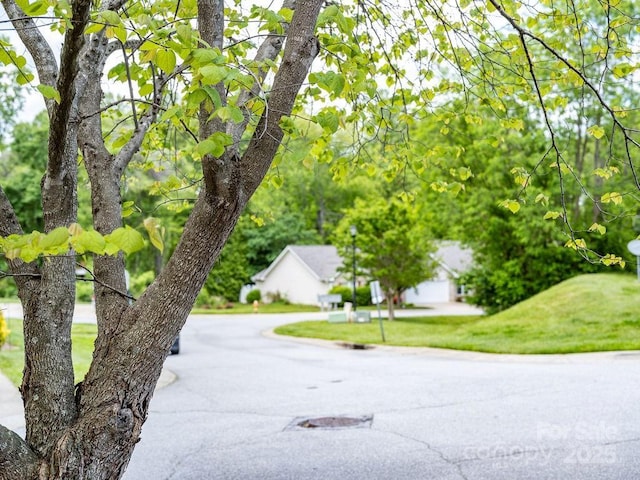 41 Lanceford Cir, Fletcher, NC 28732 - view of asphalt street