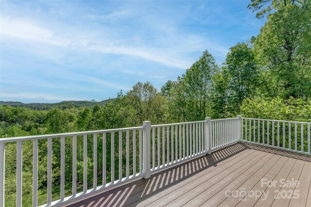883 Big Raven Ln, Saluda, NC 28773 - photo 10