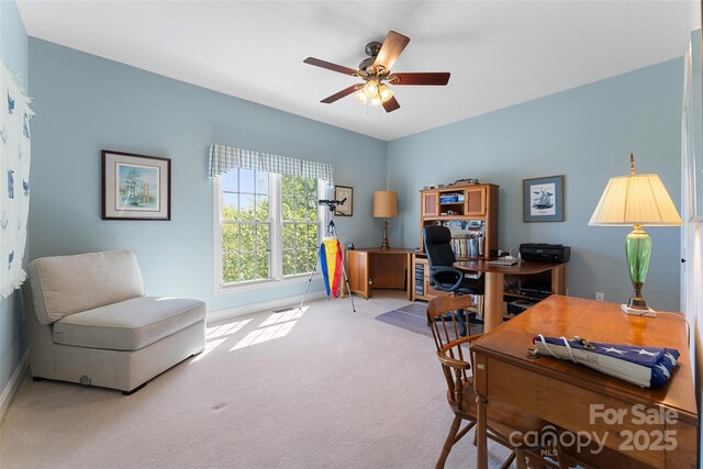 883 Big Raven Ln, Saluda, NC 28773 - photo 23