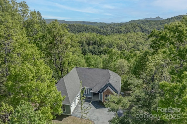 883 Big Raven Ln, Saluda, NC 28773 - photo 32