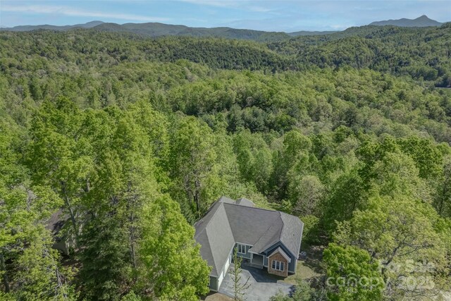 883 Big Raven Ln, Saluda, NC 28773 - photo 33