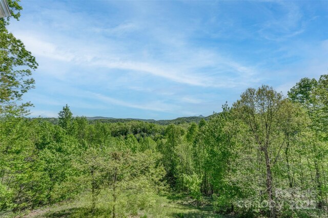 883 Big Raven Ln, Saluda, NC 28773 - photo 34