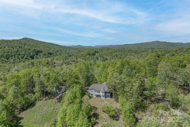 883 Big Raven Ln, Saluda, NC 28773 - photo 36