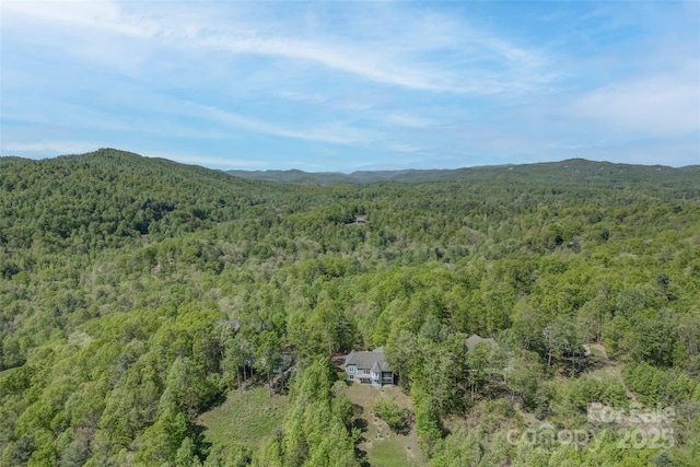 883 Big Raven Ln, Saluda, NC 28773 - photo 37