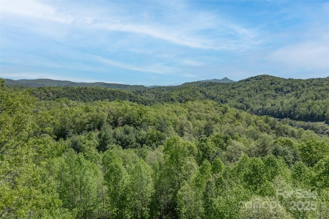 883 Big Raven Ln, Saluda, NC 28773 - photo 38